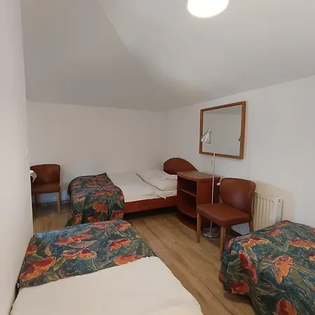 ホームステイ Bursztyn