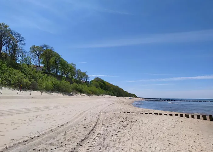 ホームステイ Bursztyn レバル