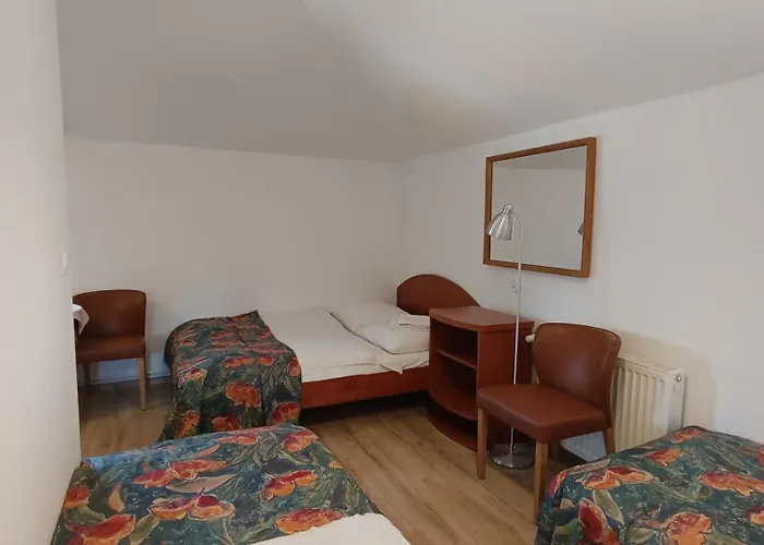 ホームステイ Bursztyn