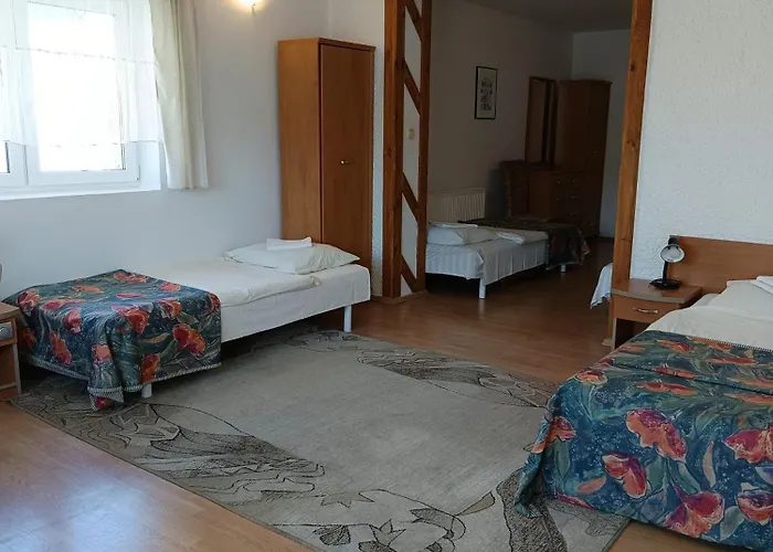 ホームステイ Bursztyn *